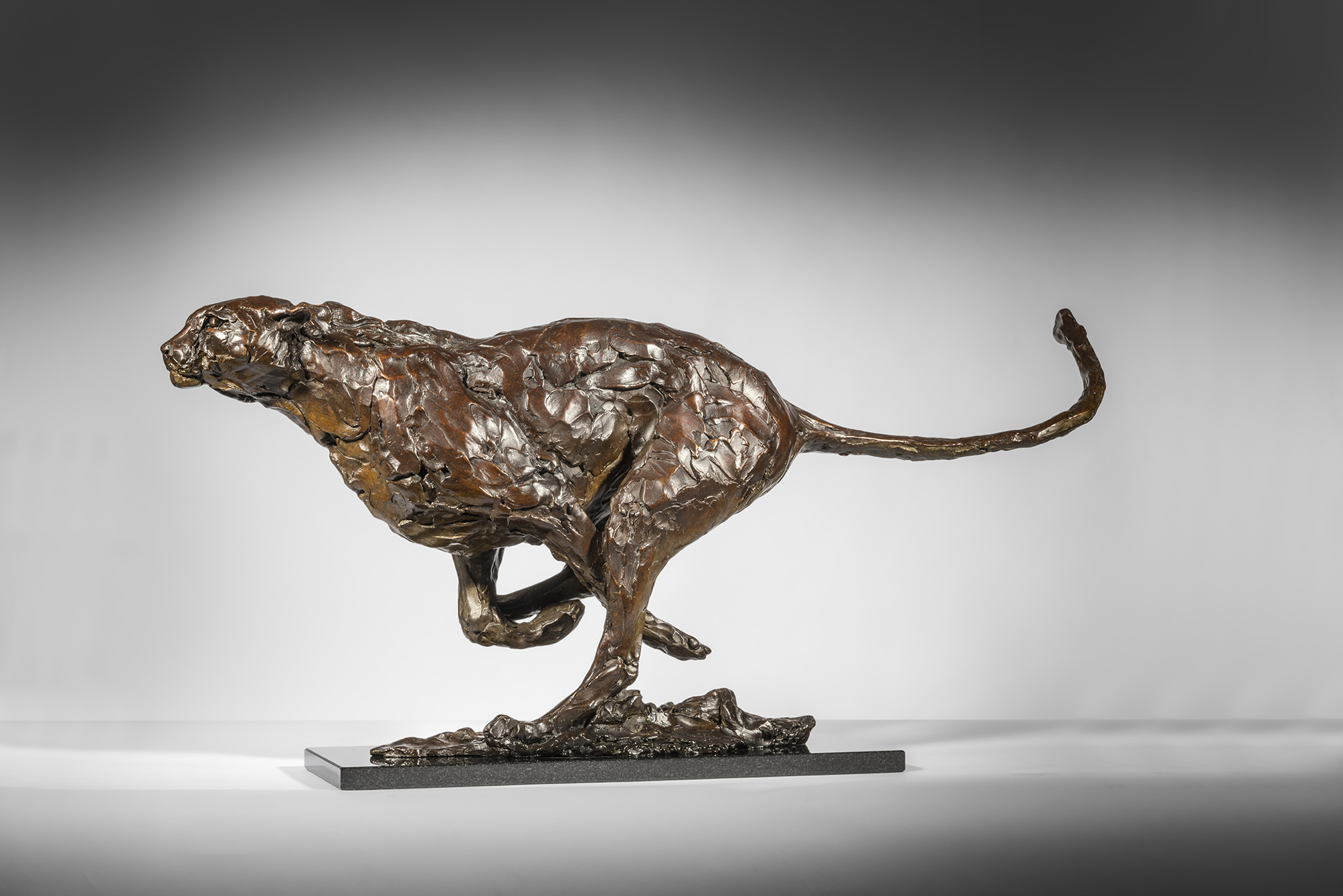 Racing Cheetah, Large, 2026