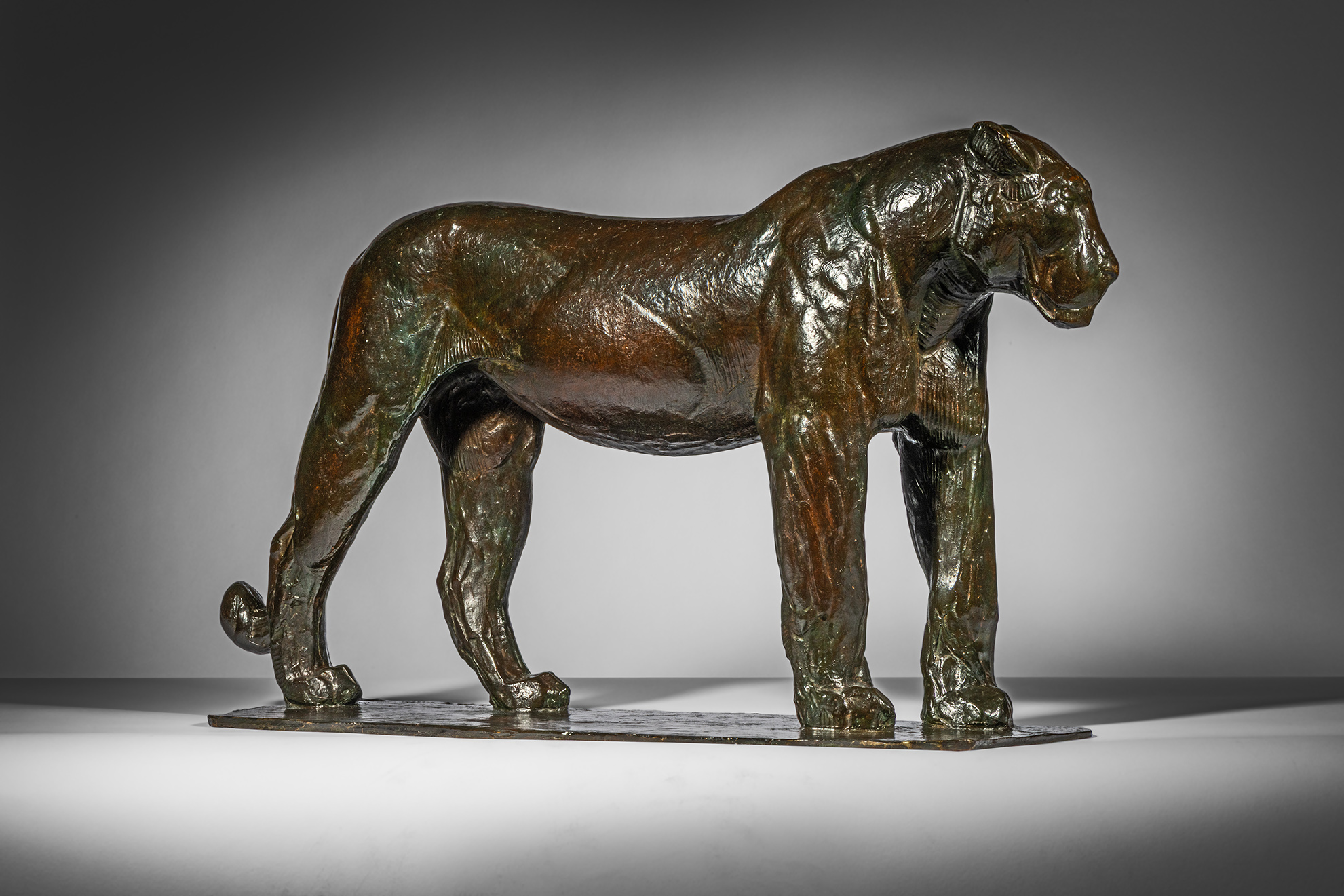 Nubian Lioness, 1909-1910