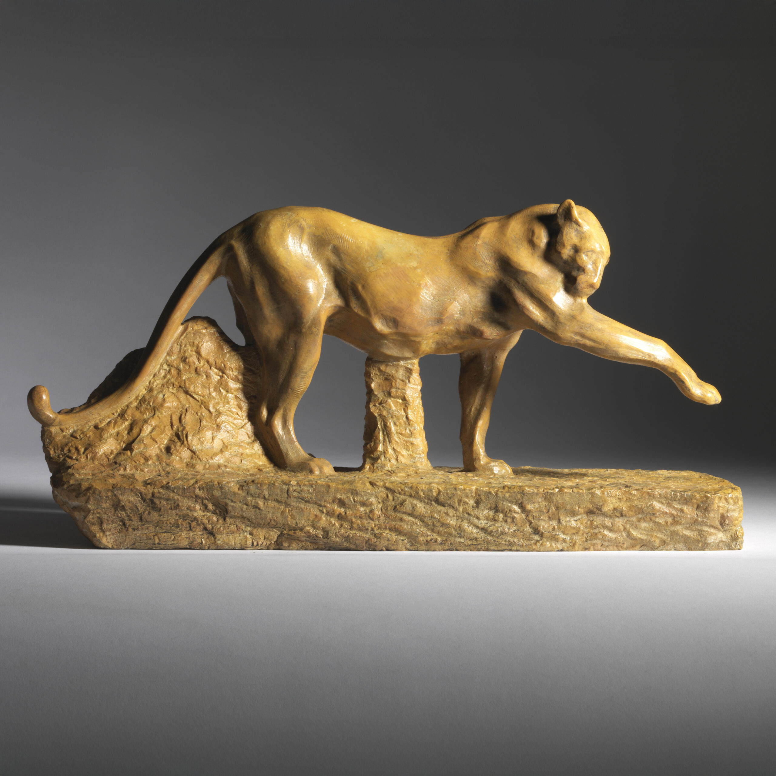 Panther Grooming, 1904