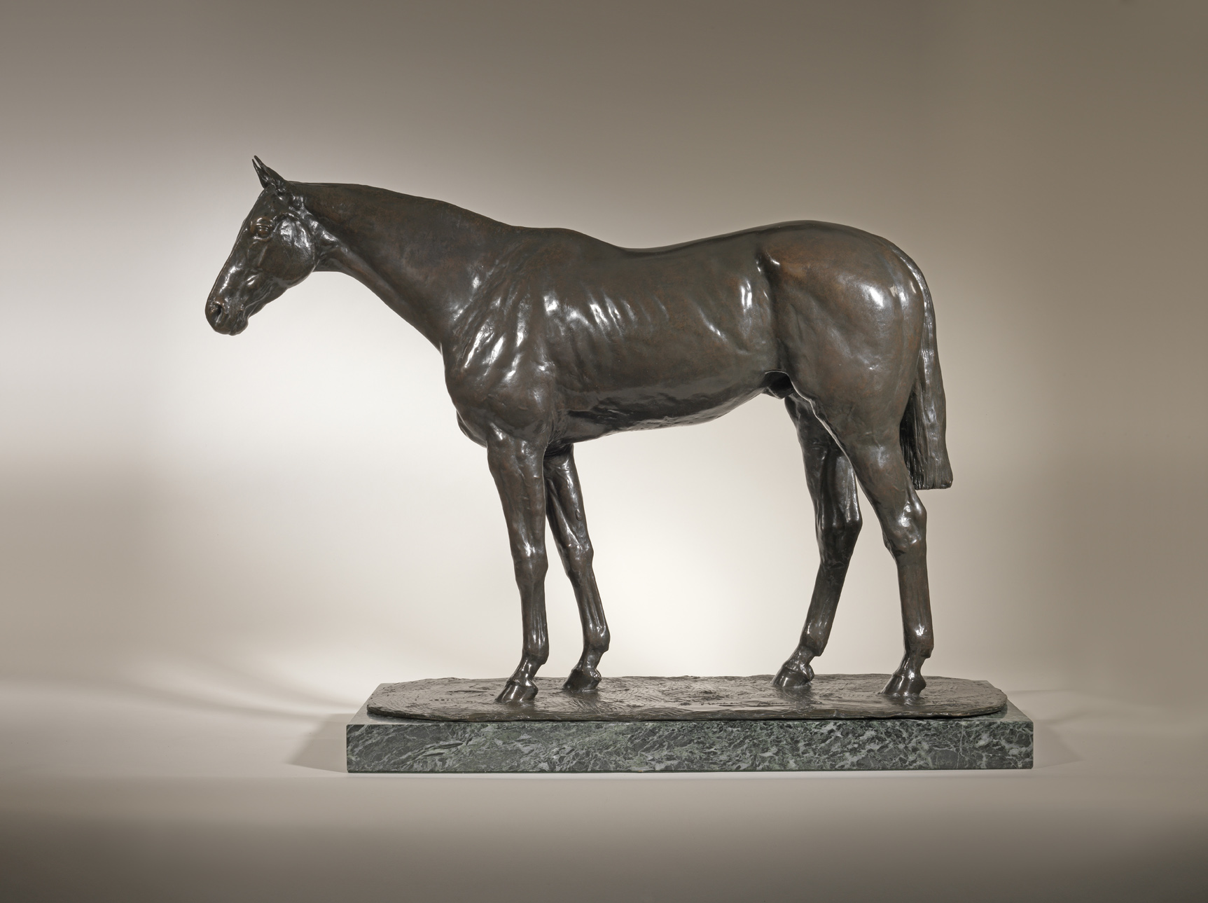 Perfect Thoroughbred, 1912