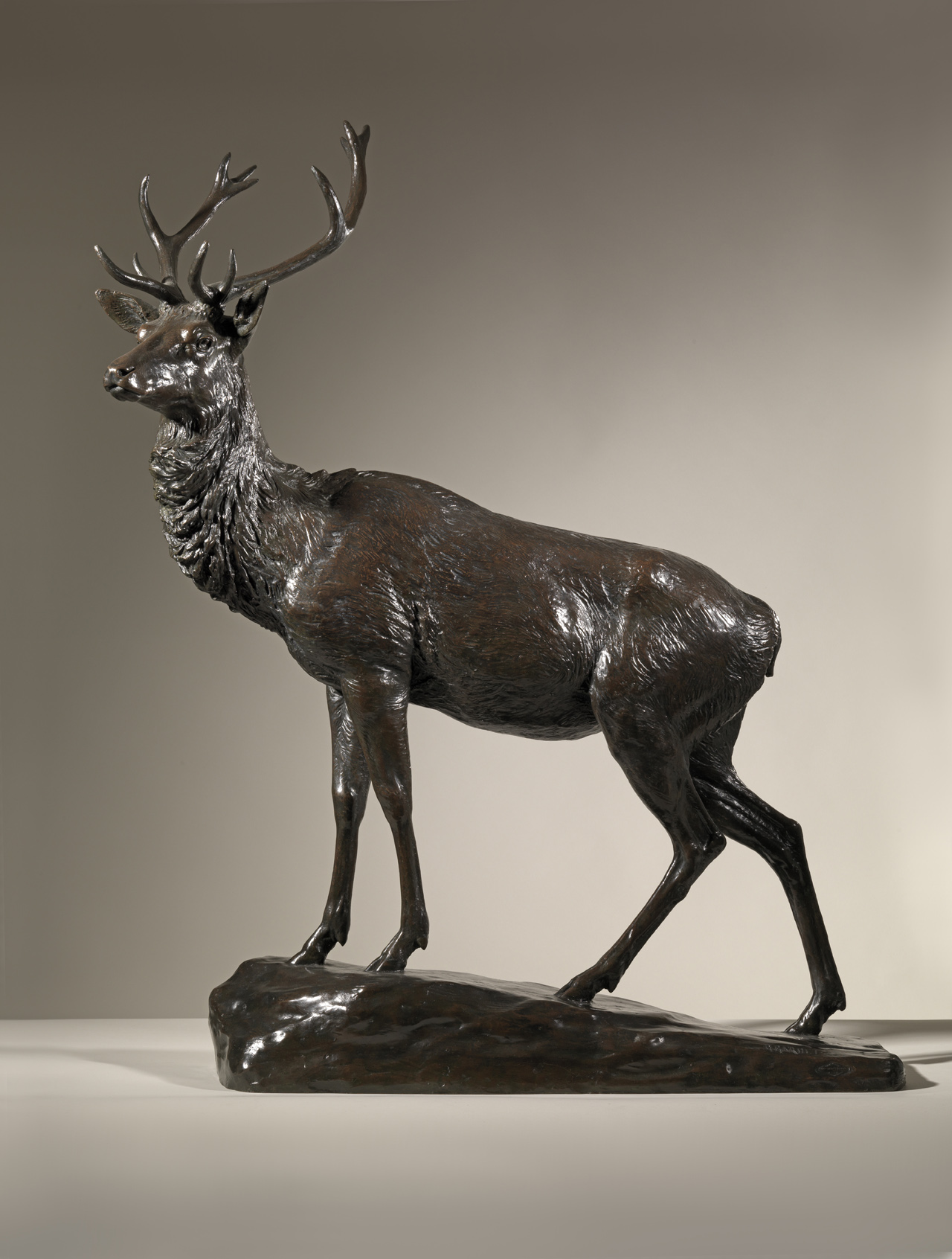 Large Stag, c. 1920