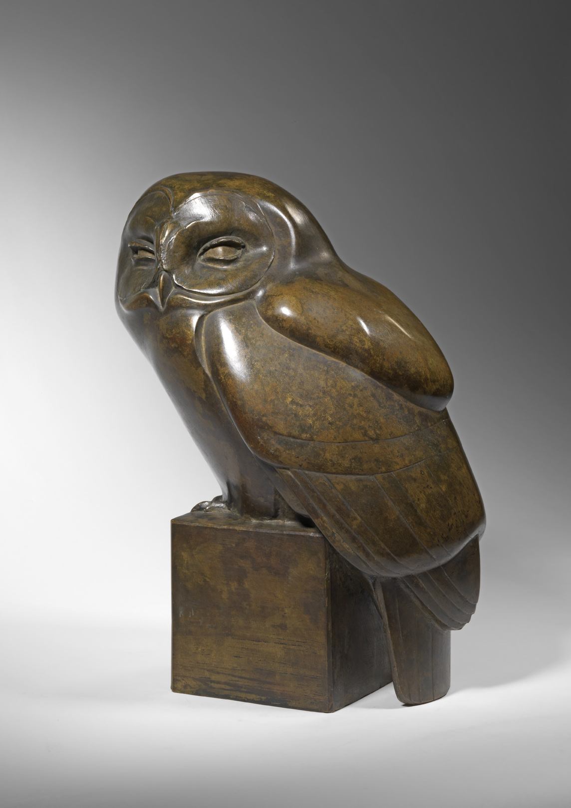 Tawny Owl, c. 1923