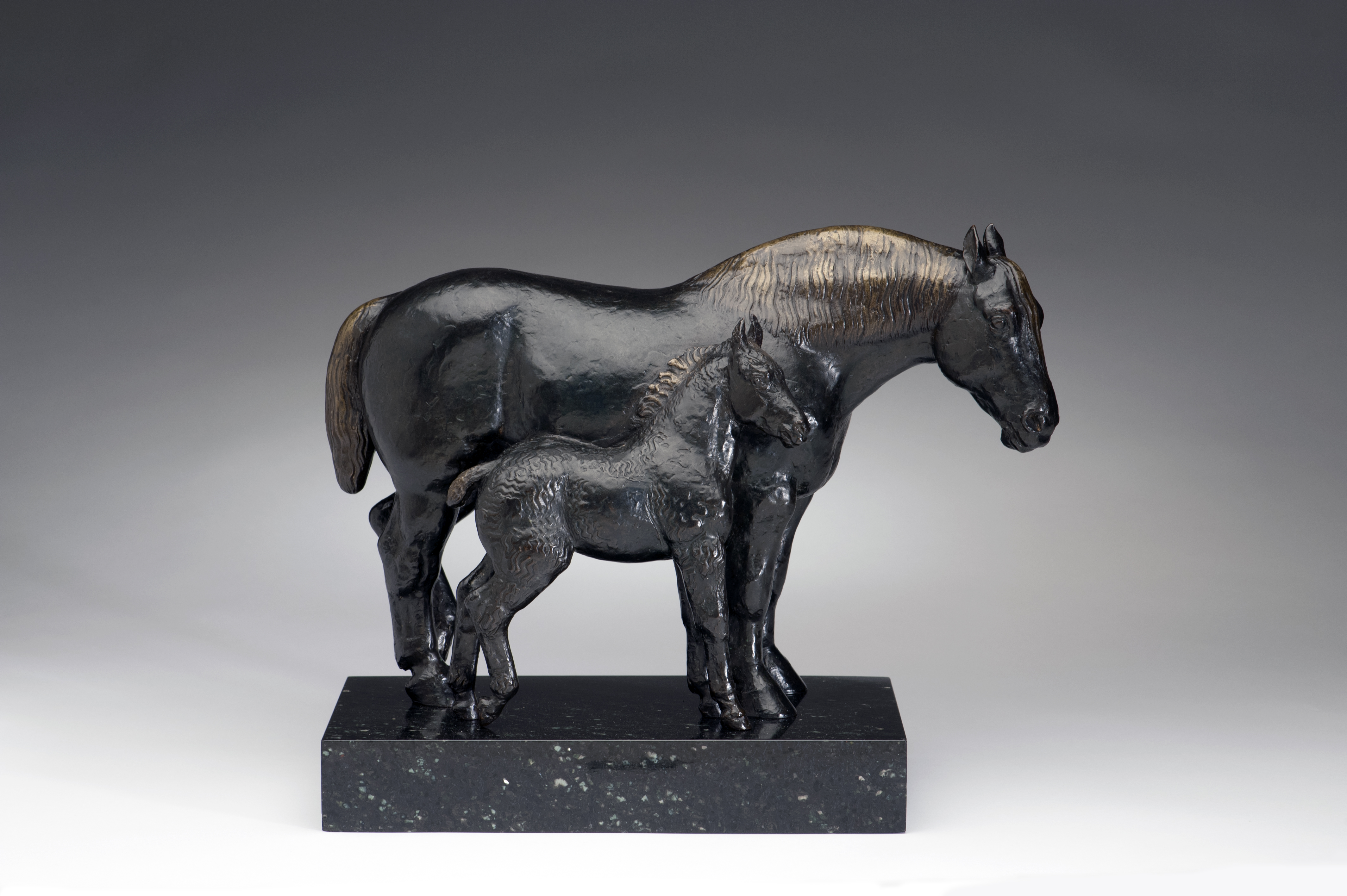 Percheron Mare and Foal, 1922-1923