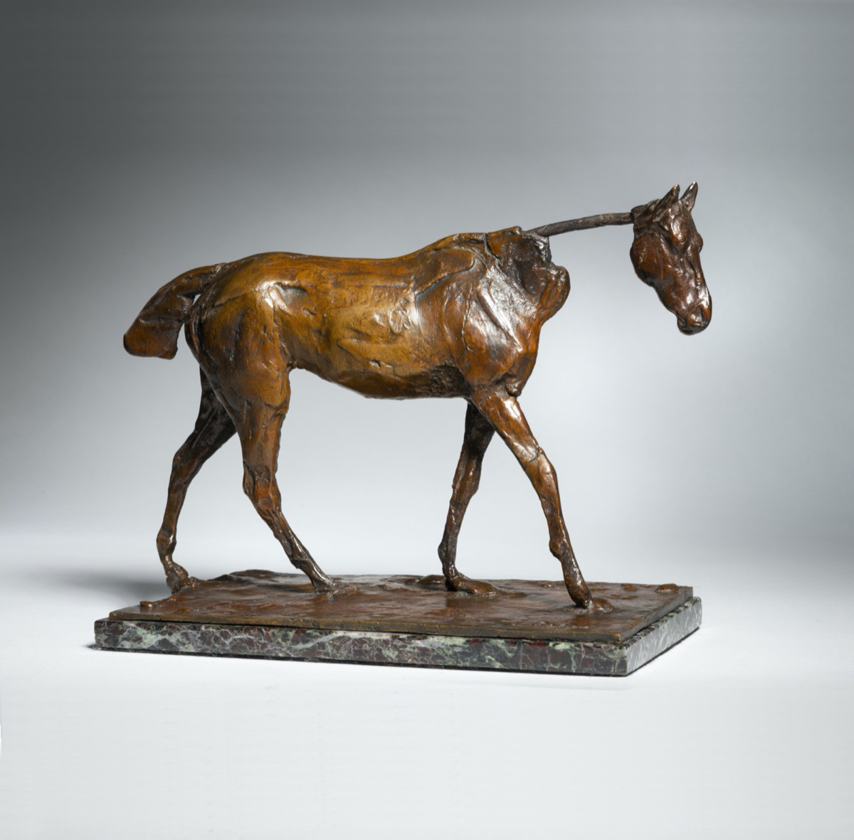 Thoroughbred Horse Walking, 1865-1881