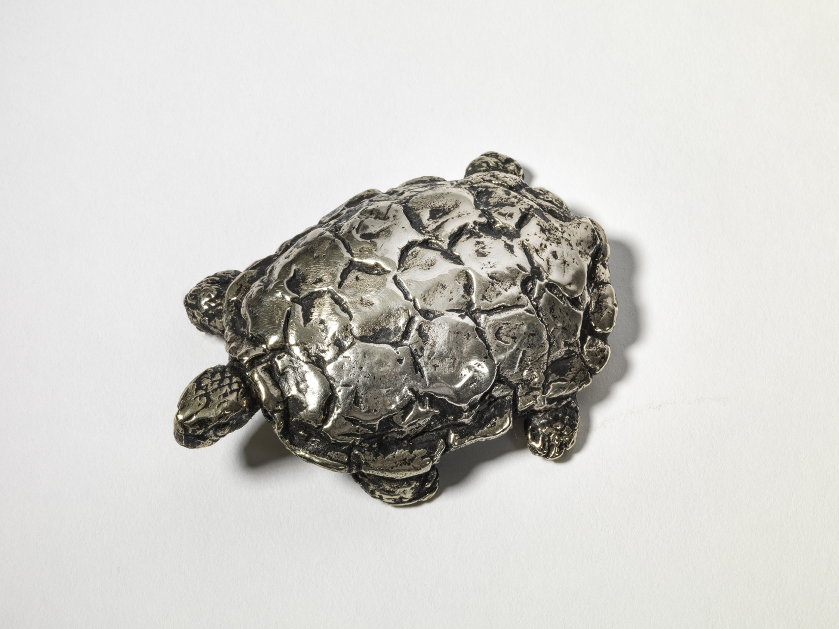 Baby Tortoise, Nickel, 2020