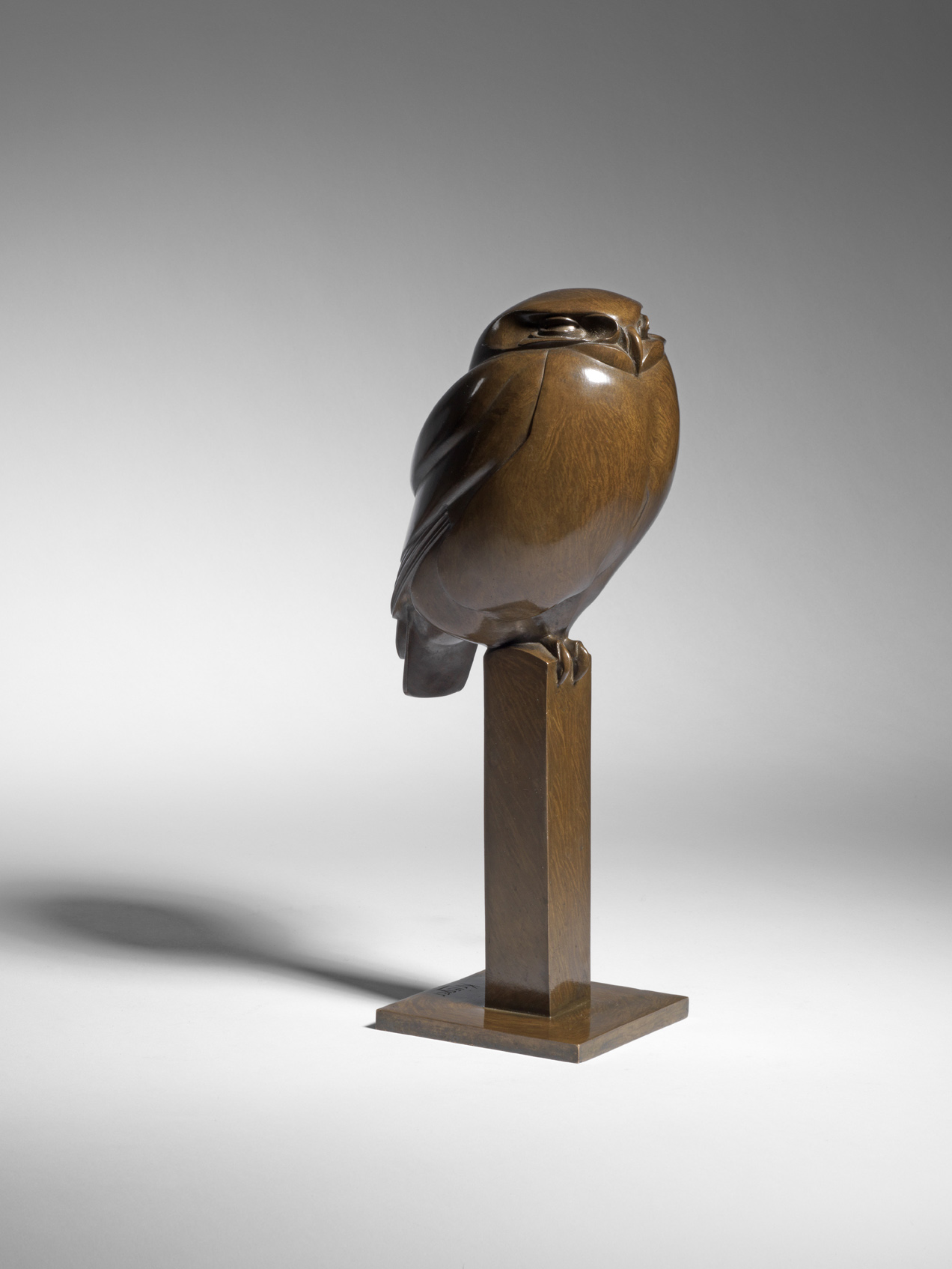 Little Owl, 1929