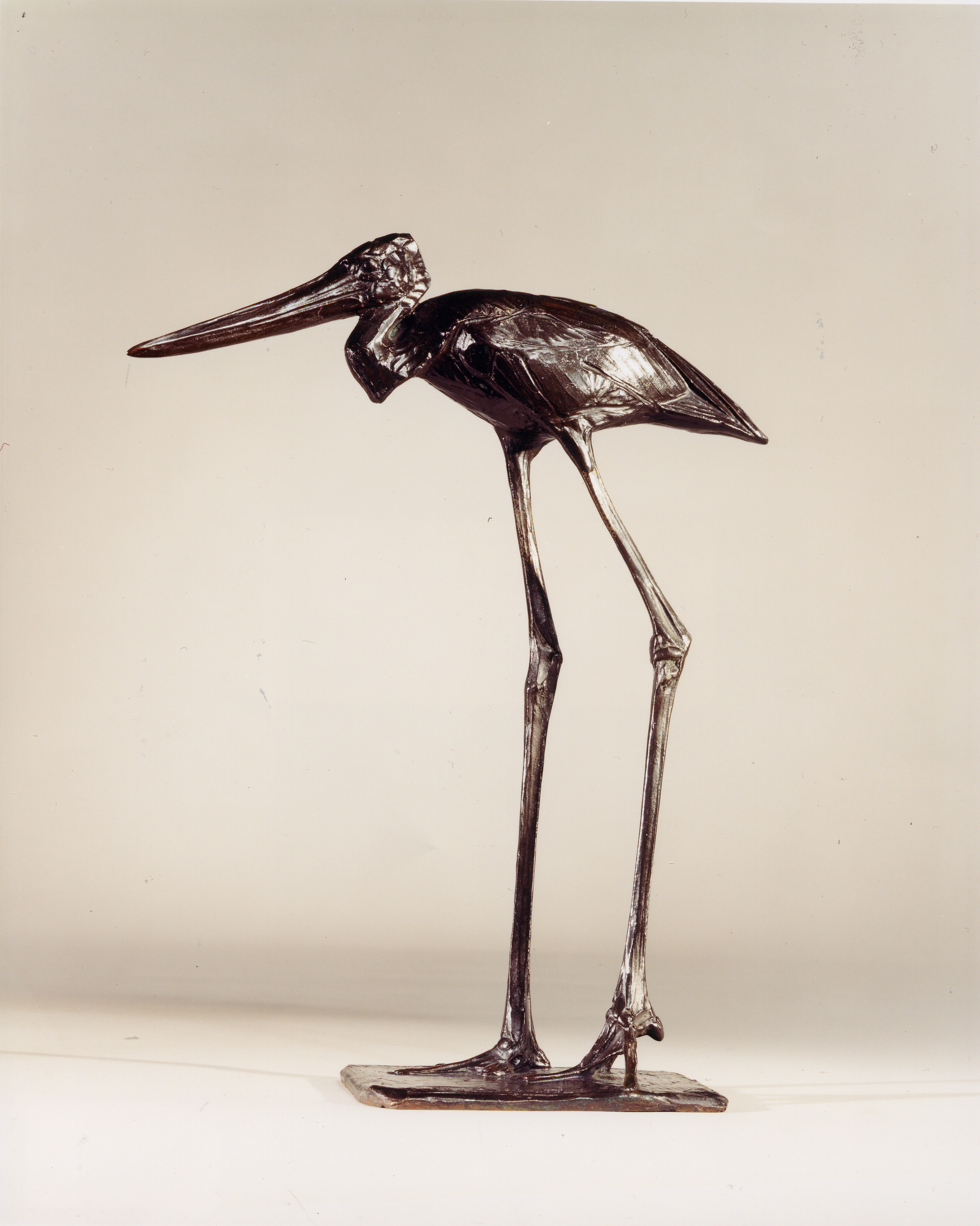 Walking Stork, 1912
