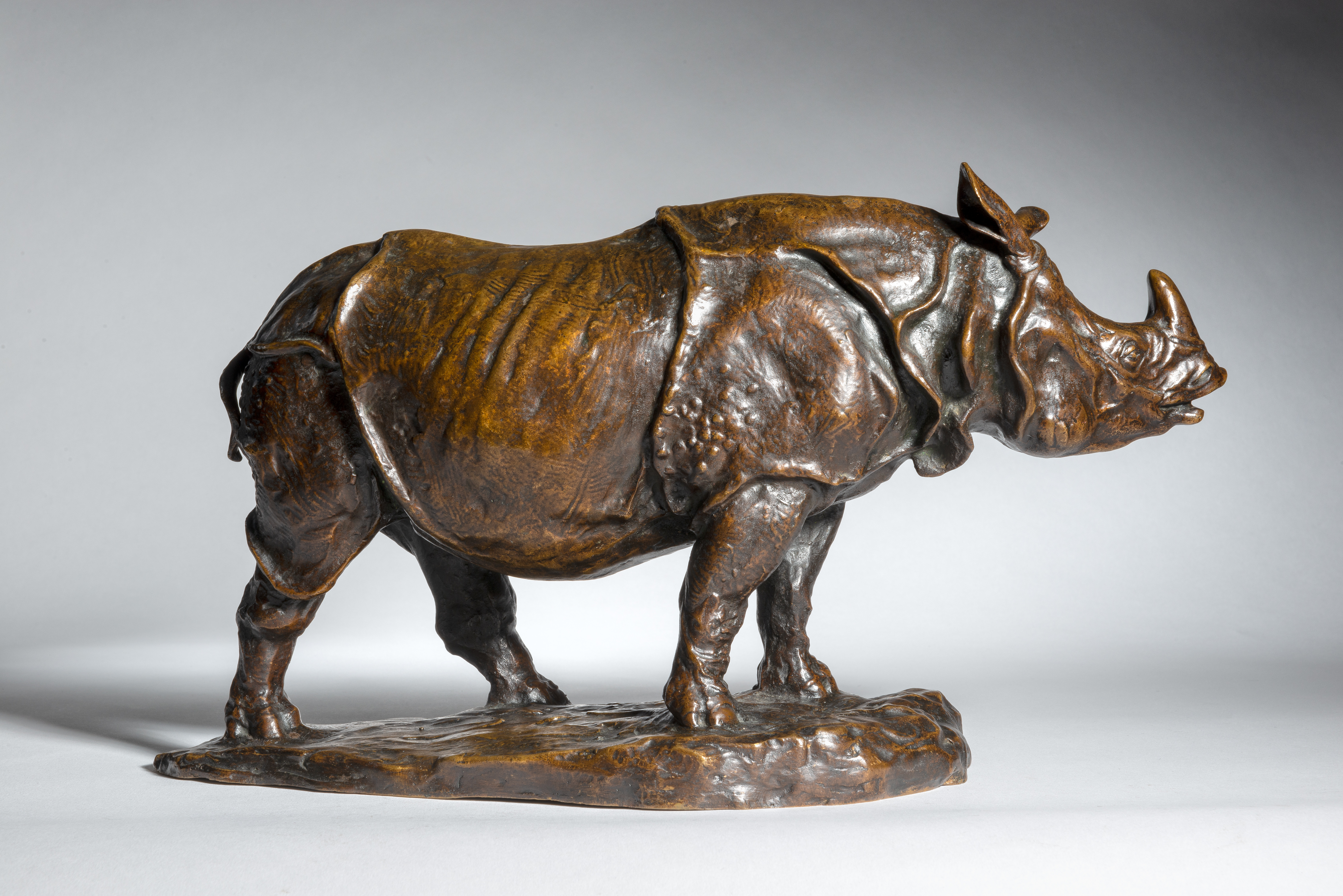 Standing Indian Rhino, 1910