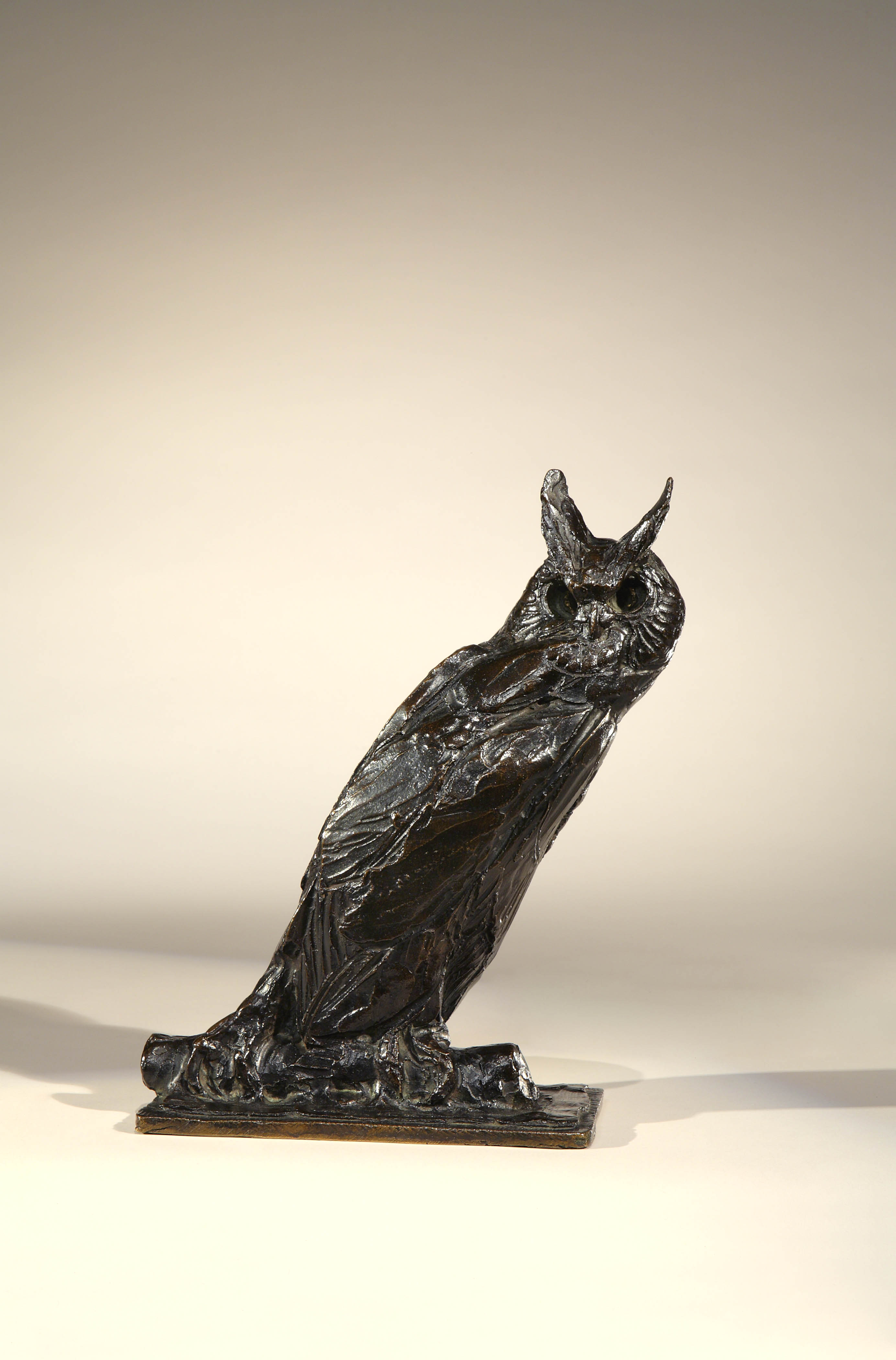 Long Eared Owl, 1920