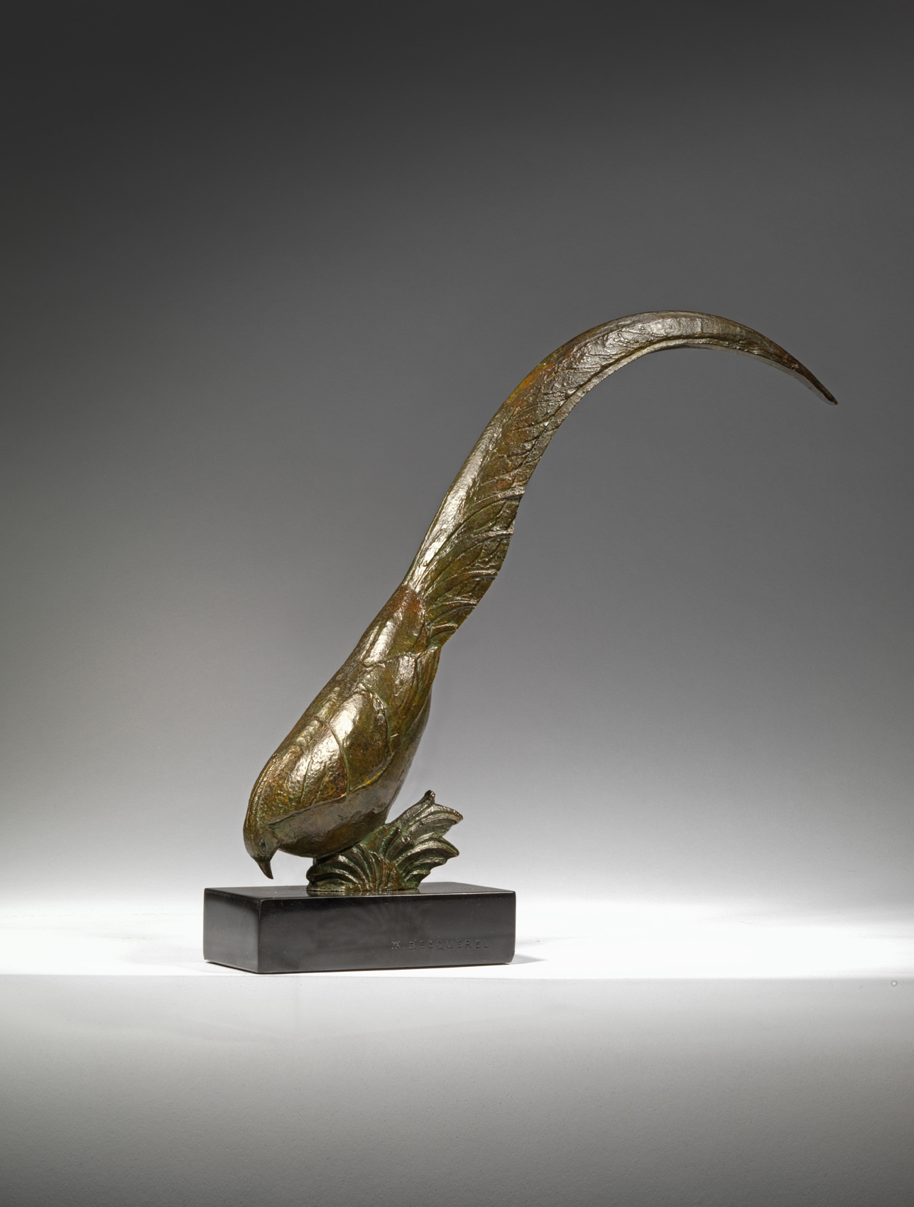 Pheasant, Tail Raised, 1925