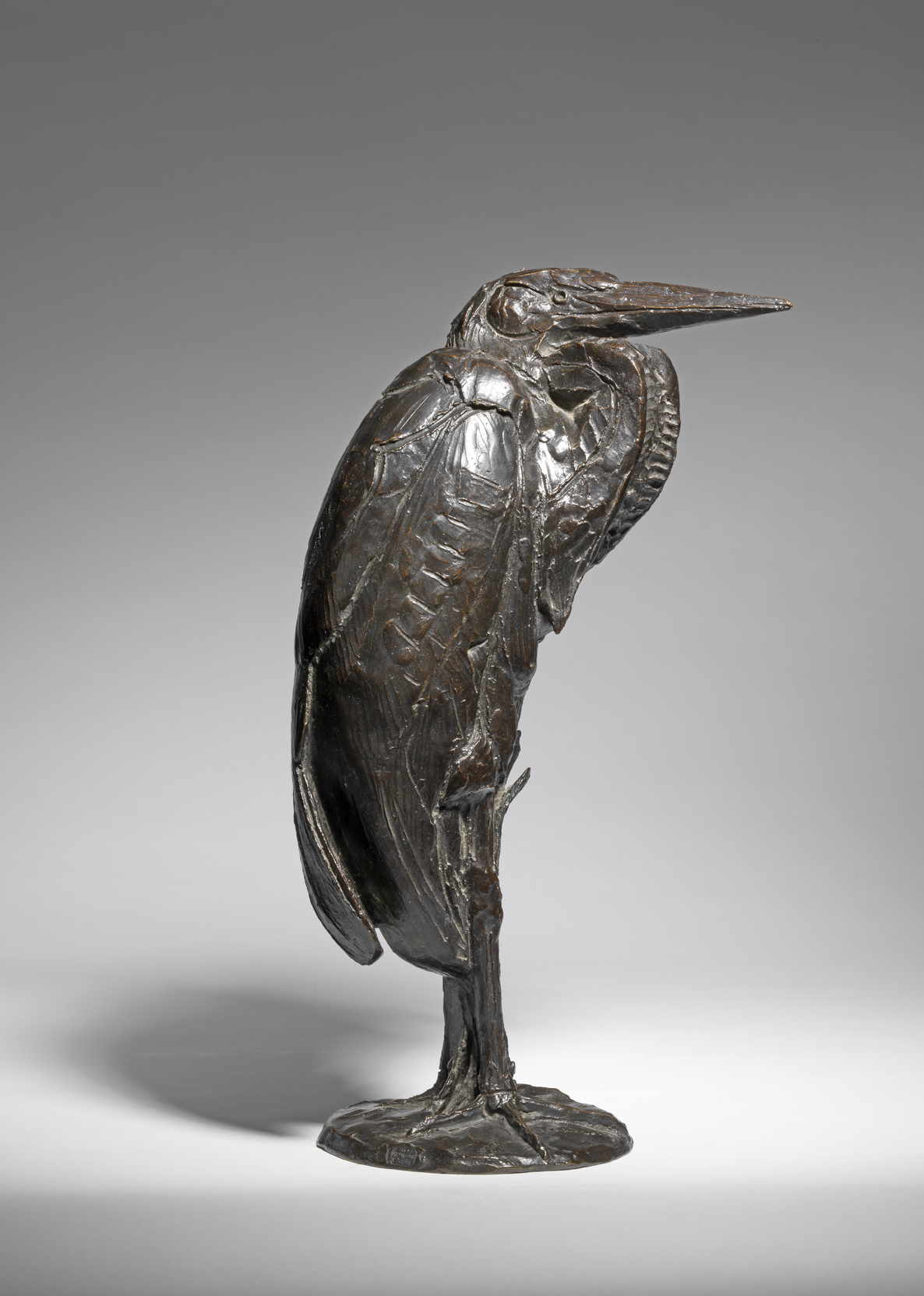 Standing Heron, c. 1925