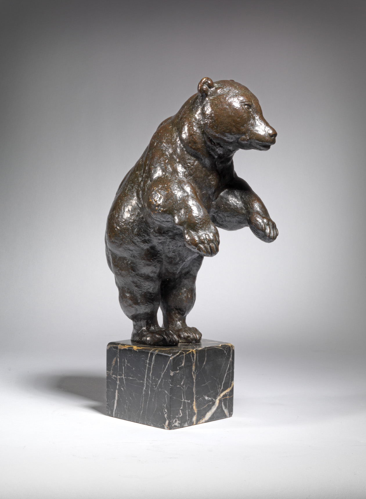 Standing Bear, 1917