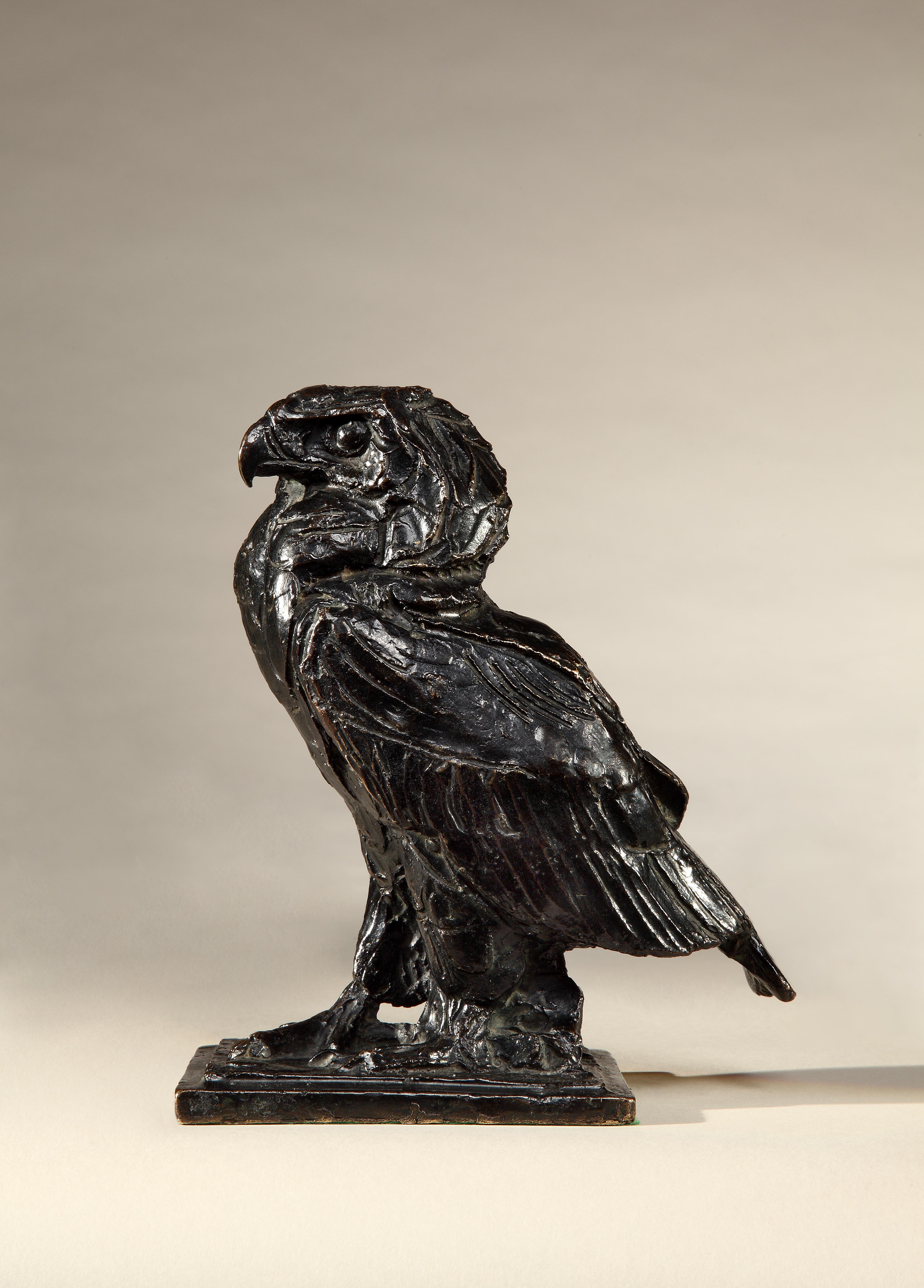 Young Bateleur Eagle, c. 1920