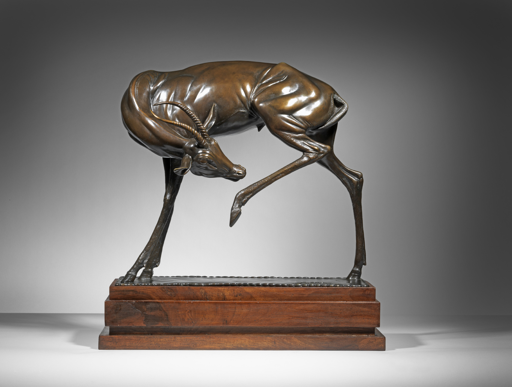 Gazelle Scratching, c. 1924