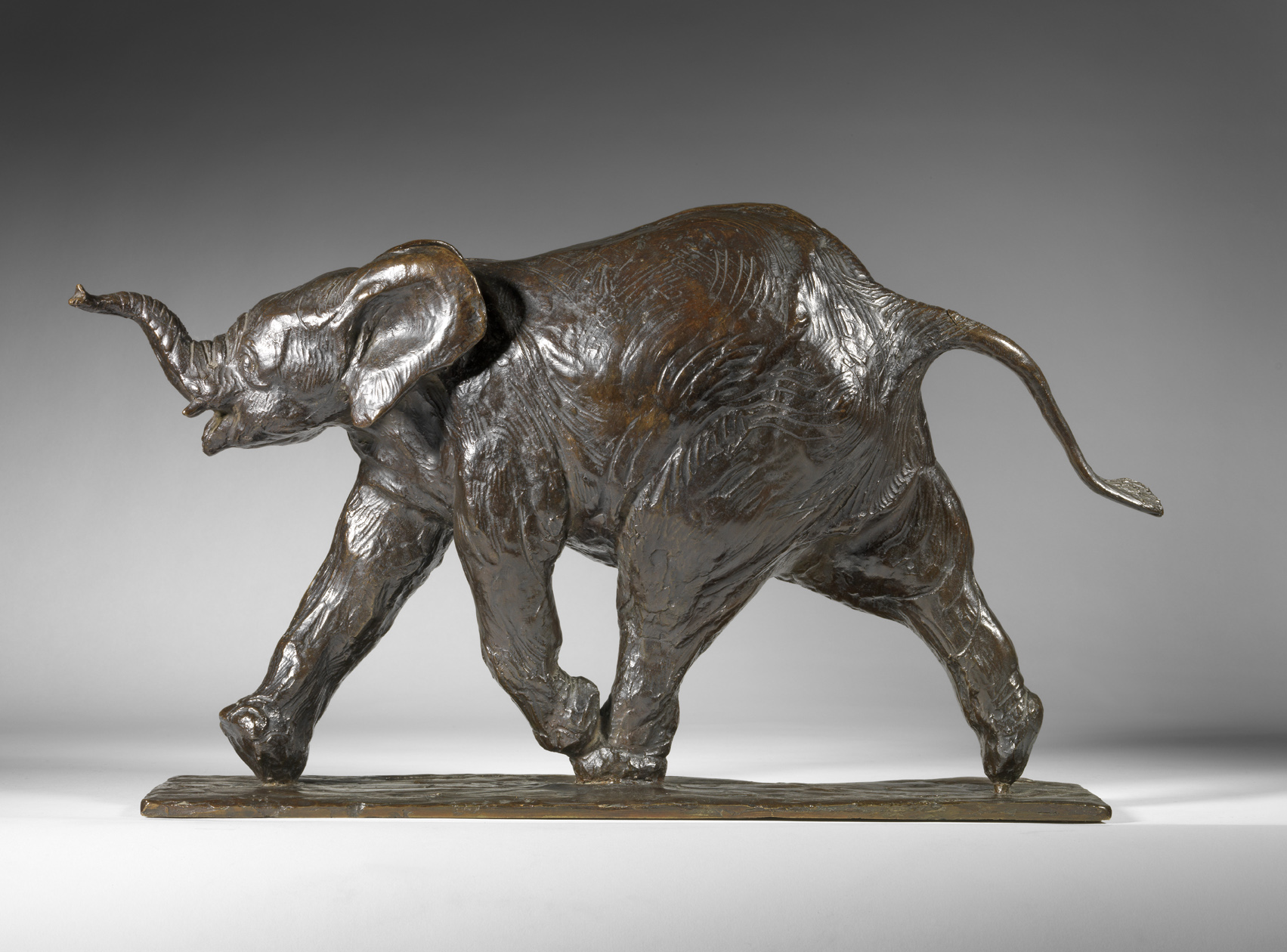 Young Running Elephant, c. 1920