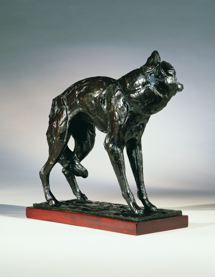 Maned Wolf, c. 1923