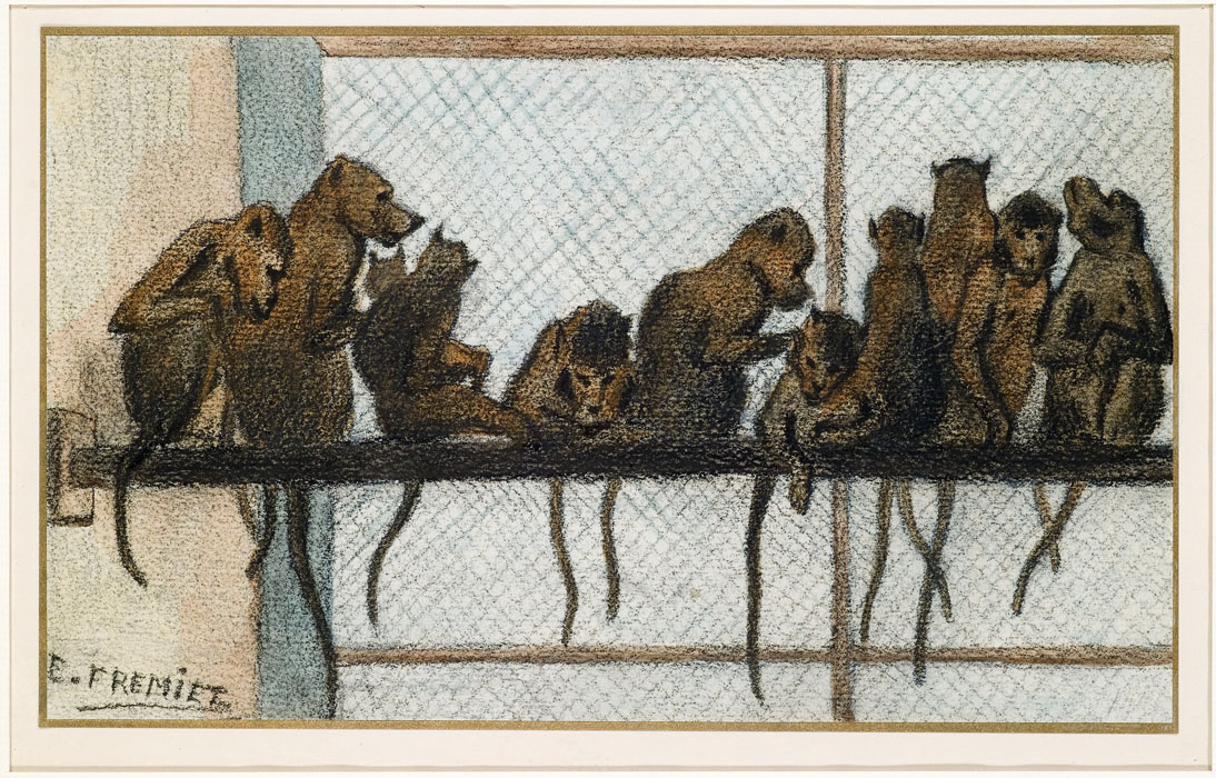 Monkeys in a Row, c. 1890
