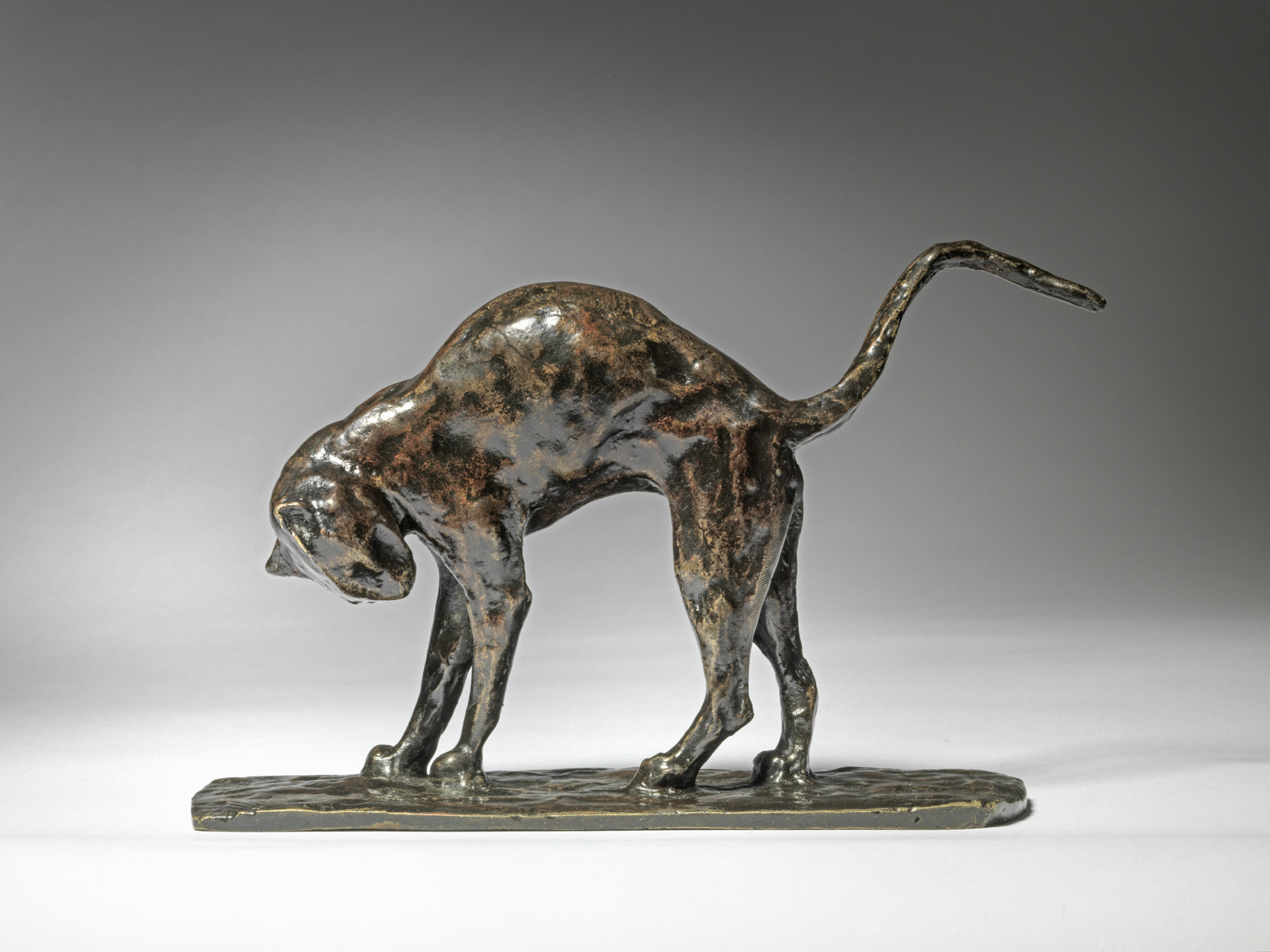 Cat with Arched Back, c. 1910