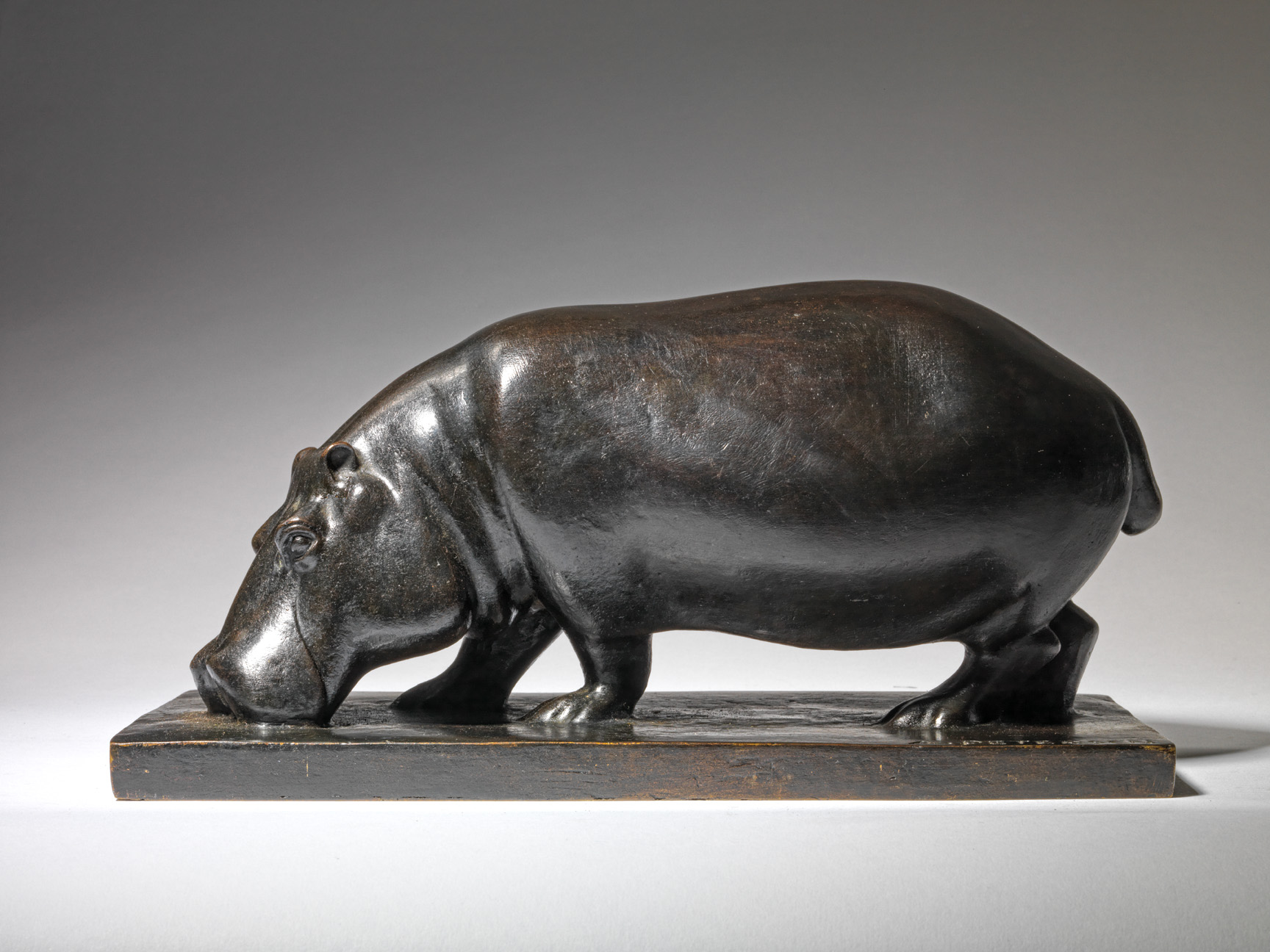 Hippopotamus, c. 1928