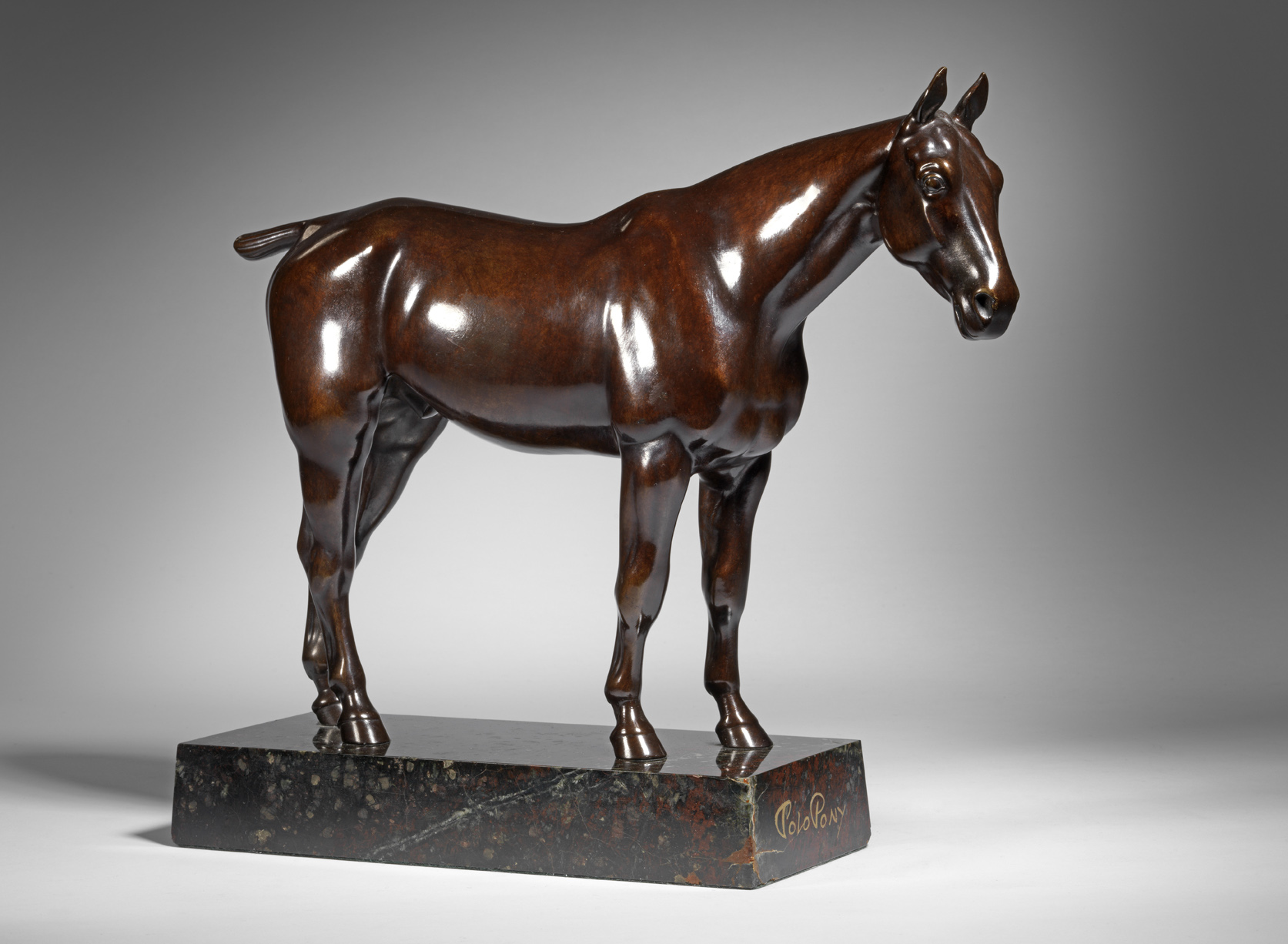 Polo Pony, c. 1921-1924