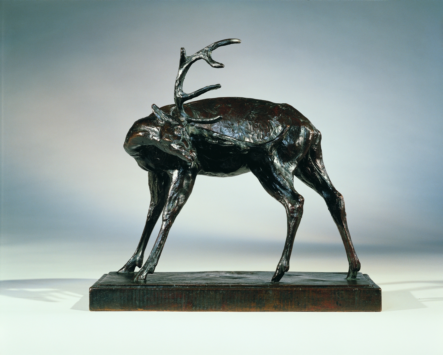Red Stag, 1926
