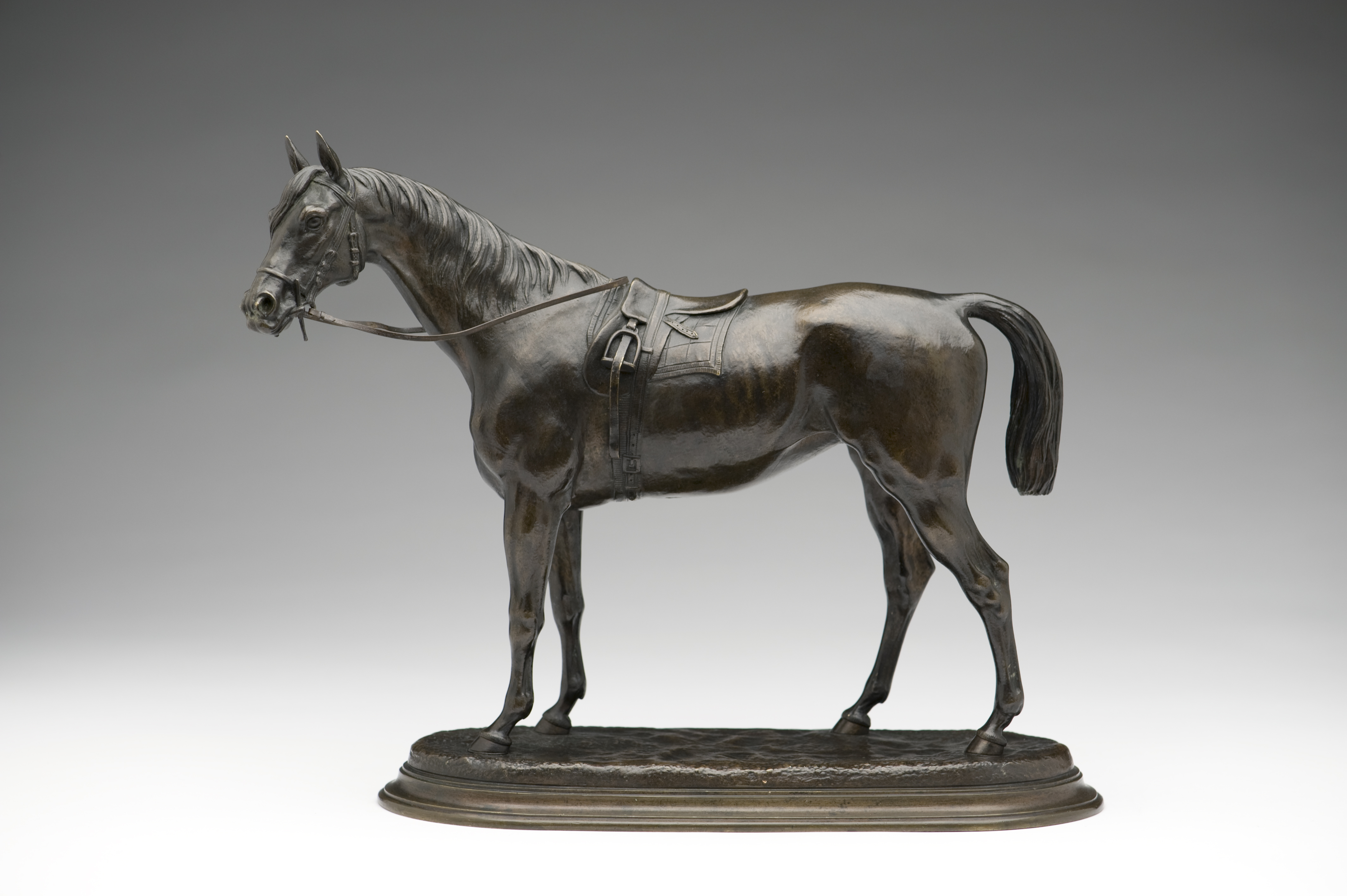 Saddled Racehorse, c. 1860