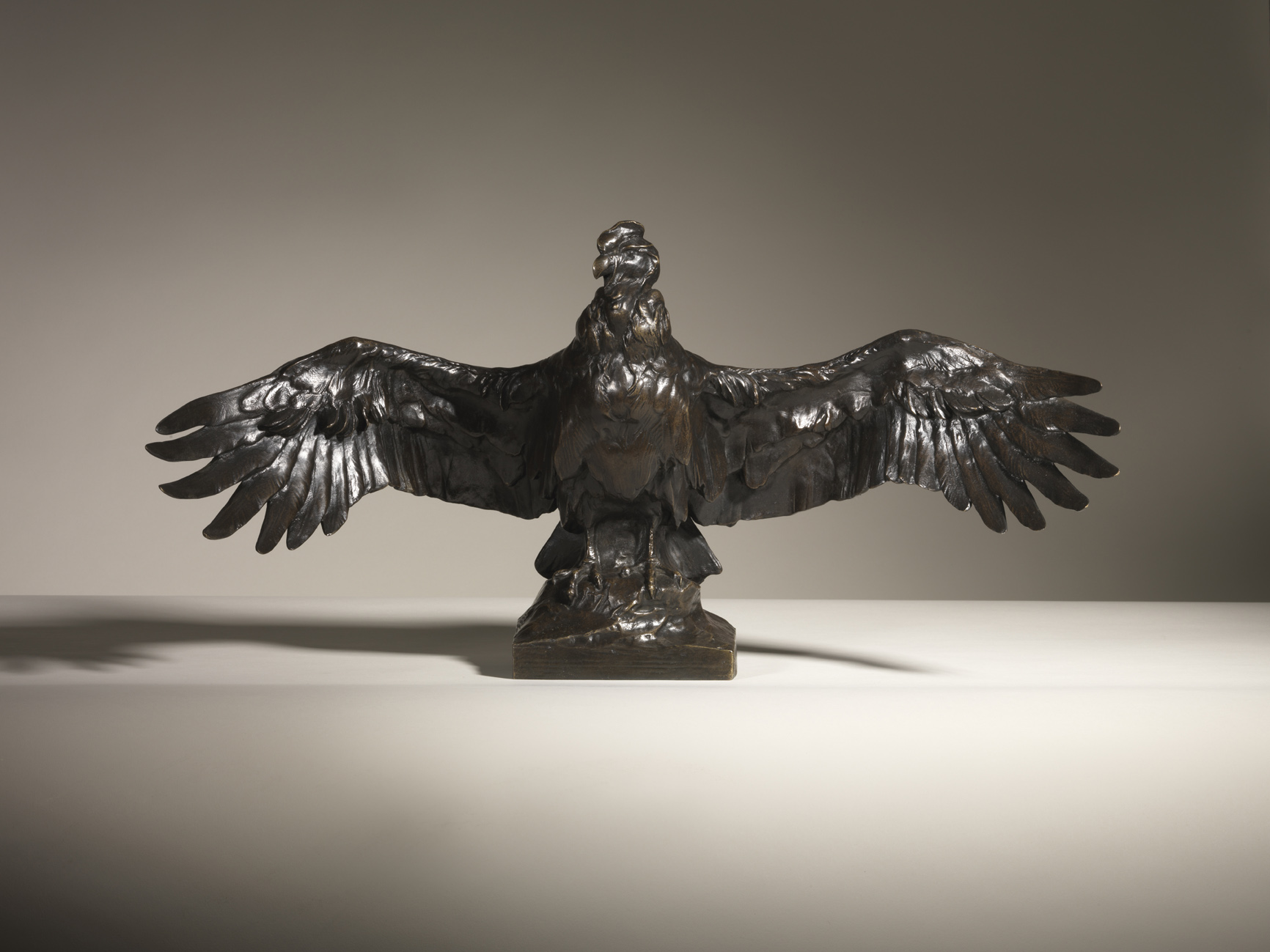Condor, Wings Outstretched, c. 1907