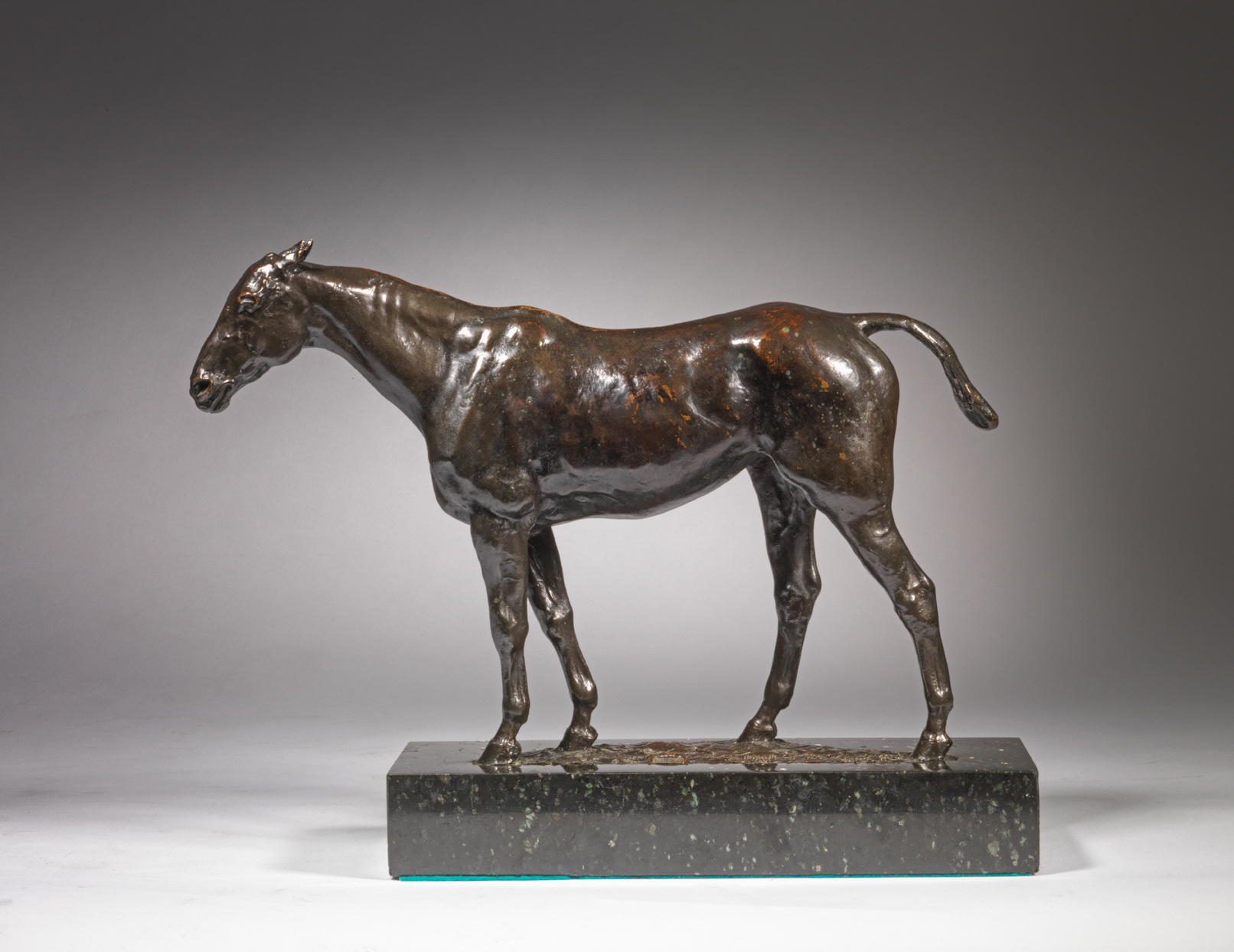 Ralla, Champion Polo Pony, 1910