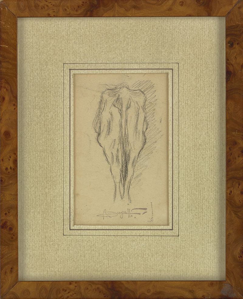 Cow, view of hindquarters, c. 1900
