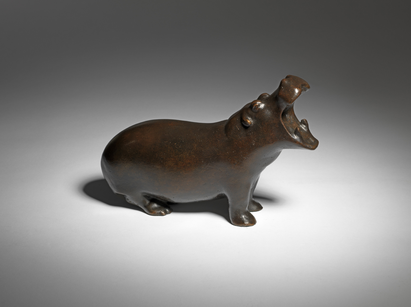 Hippopotamus, 1918